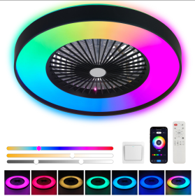 Fan Light (Color: Black)