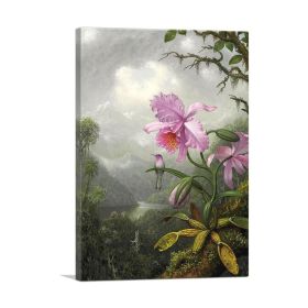 Hummingbird Perched on the Orchid Plant 1901 (Type: Standard Framed Canvas Print, size: 12" x 8" / 30cm x 20cm (approx))