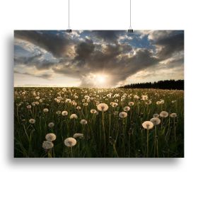 Lightbulbs Canvas Print or Poster (Type: Standard Framed Canvas Print, size: 40" x 26" / 100cm x 65cm (approx))